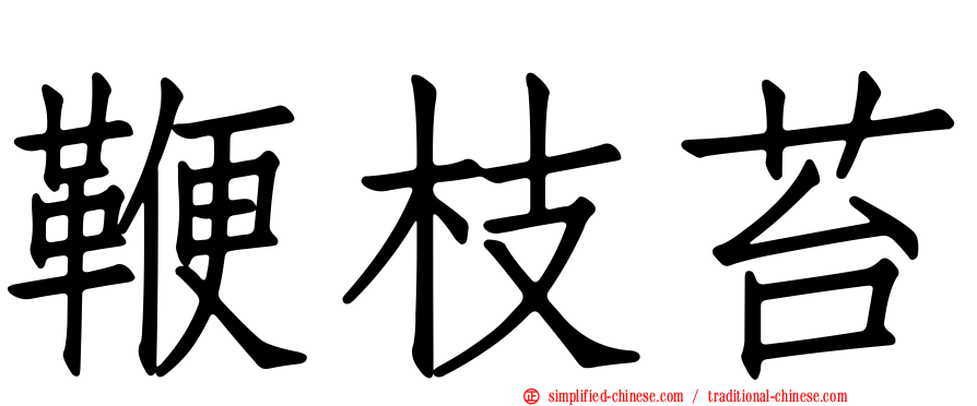 鞭枝苔