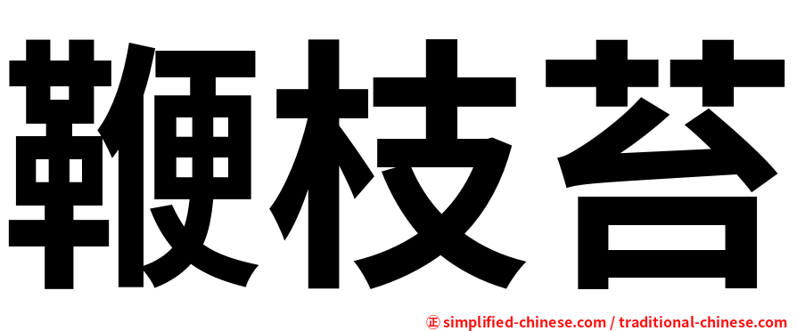 鞭枝苔