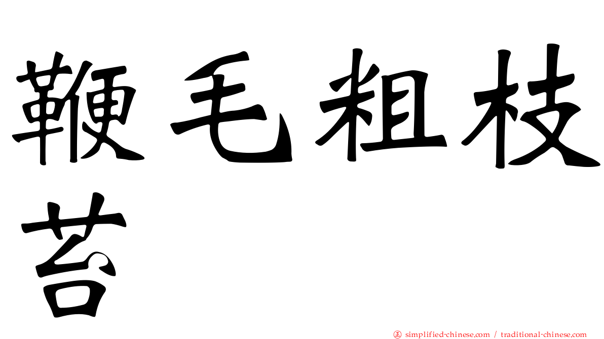 鞭毛粗枝苔