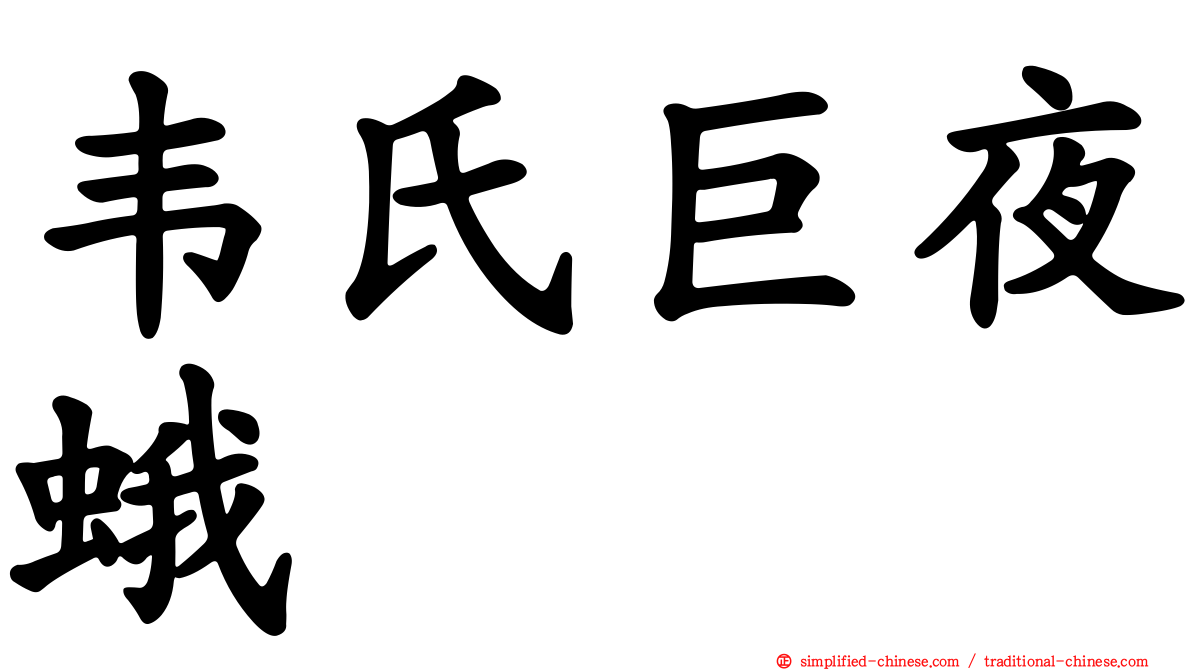 韦氏巨夜蛾