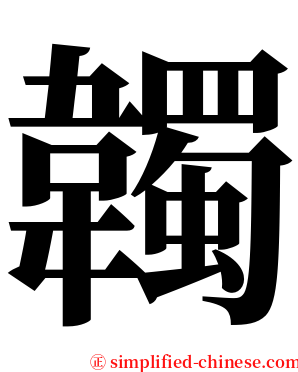 韣 serif font