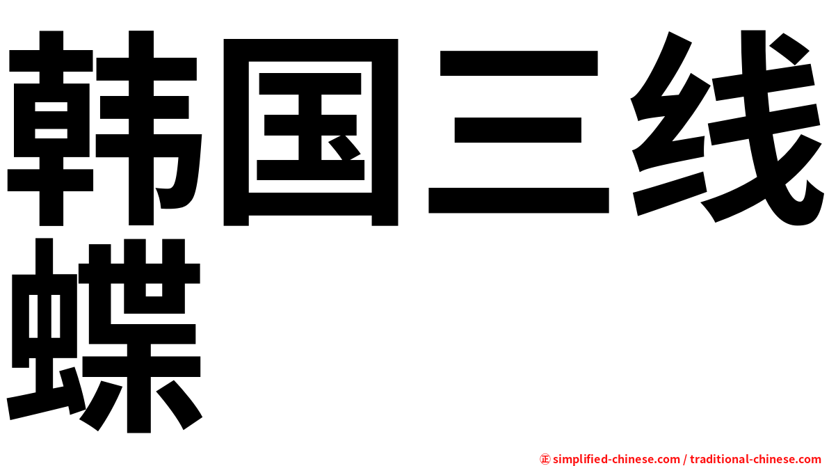 韩国三线蝶