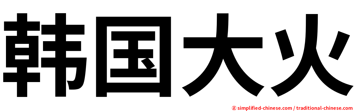 韩国大火