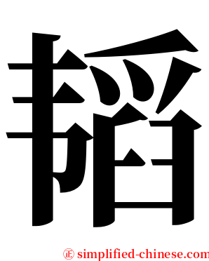 韬 serif font