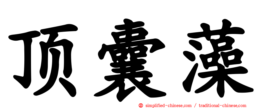 顶囊藻