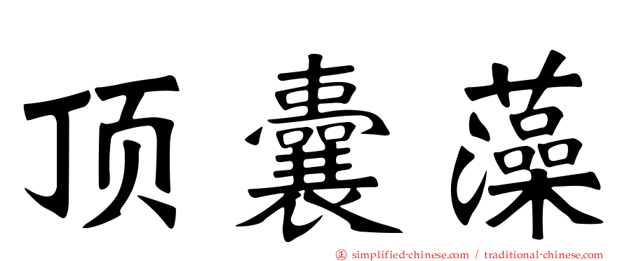 顶囊藻