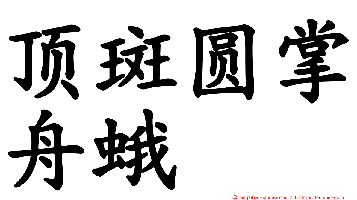 顶斑圆掌舟蛾