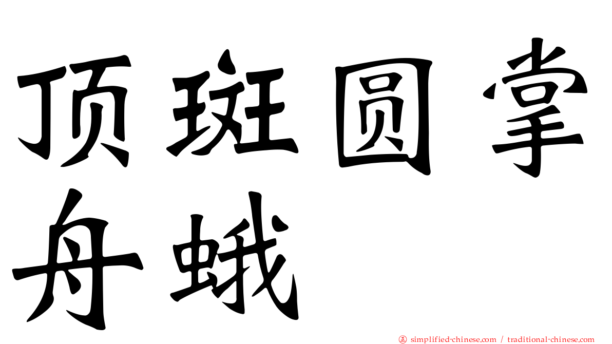 顶斑圆掌舟蛾