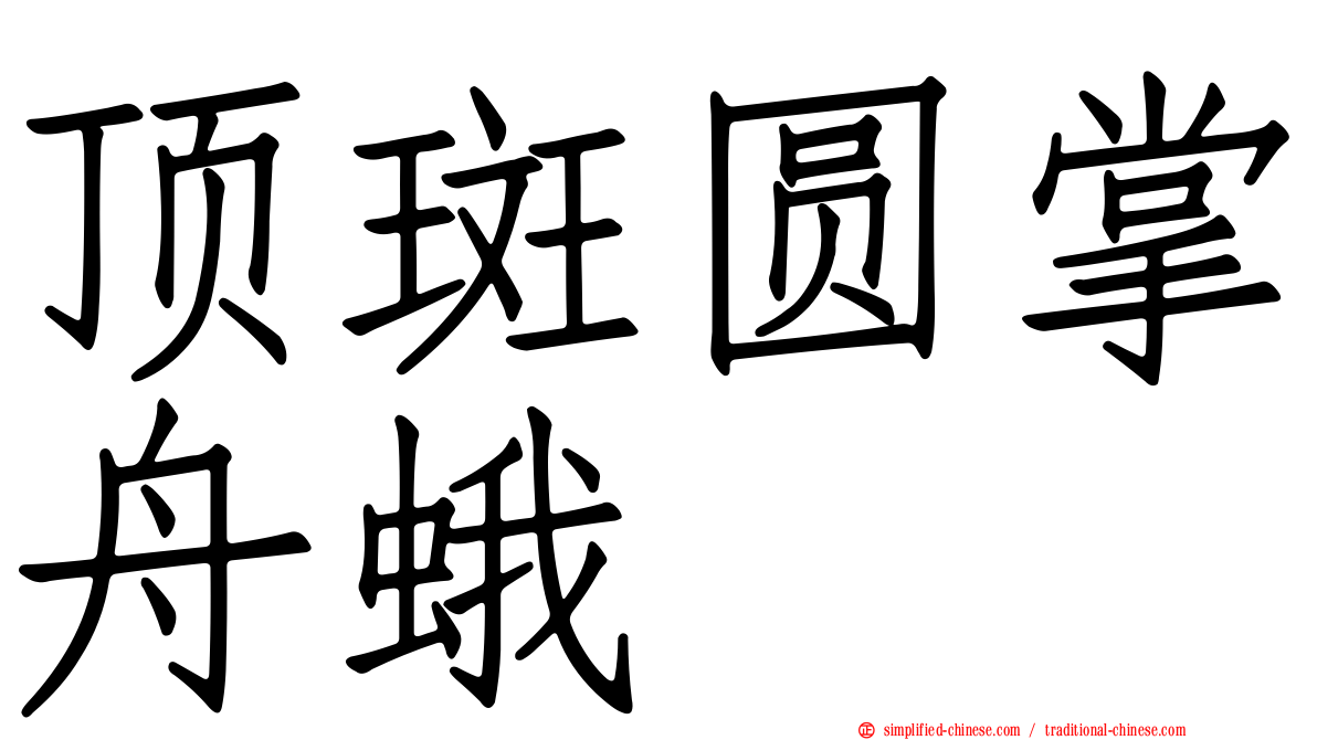 顶斑圆掌舟蛾