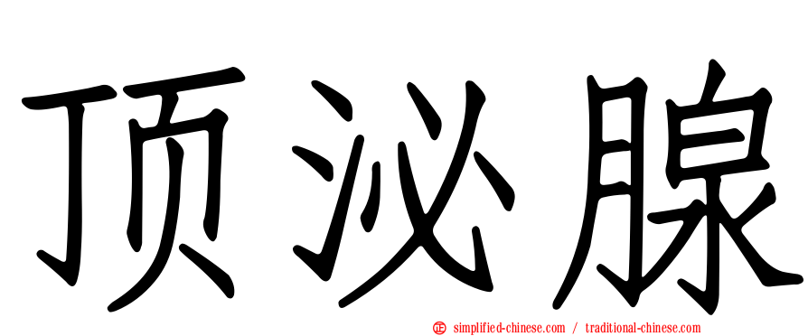 顶泌腺