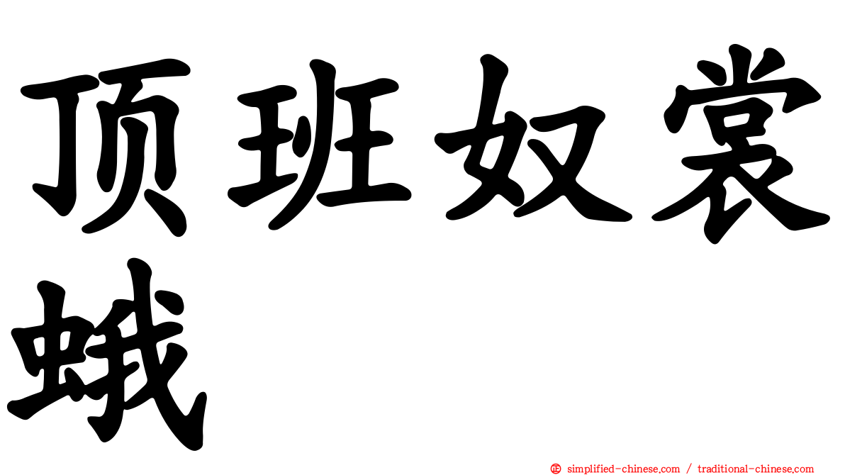顶班奴裳蛾