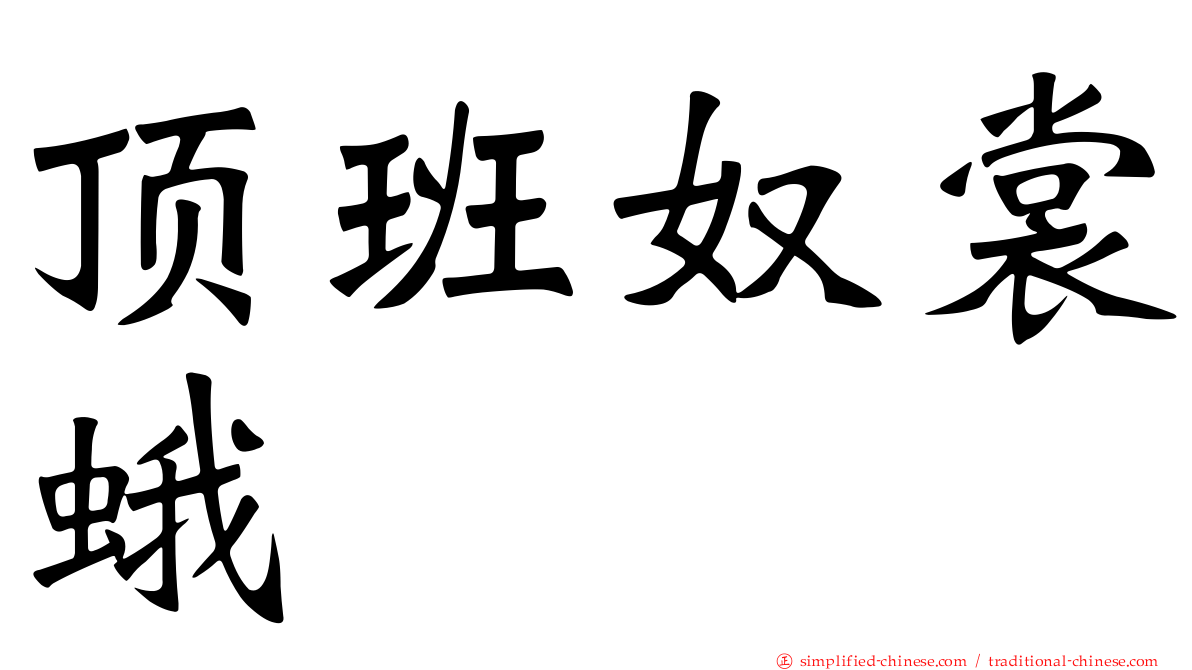 顶班奴裳蛾