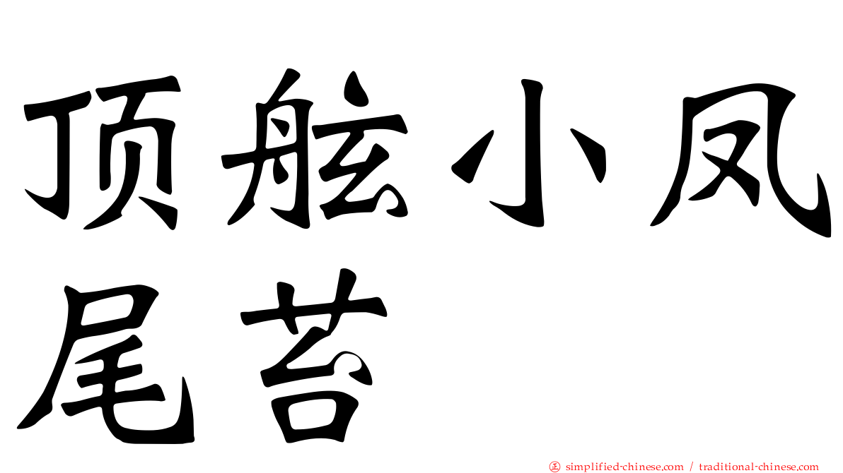 顶舷小凤尾苔