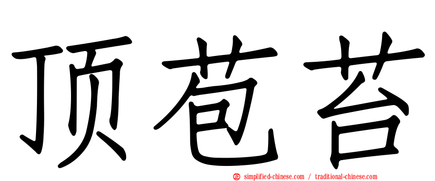 顶苞苔
