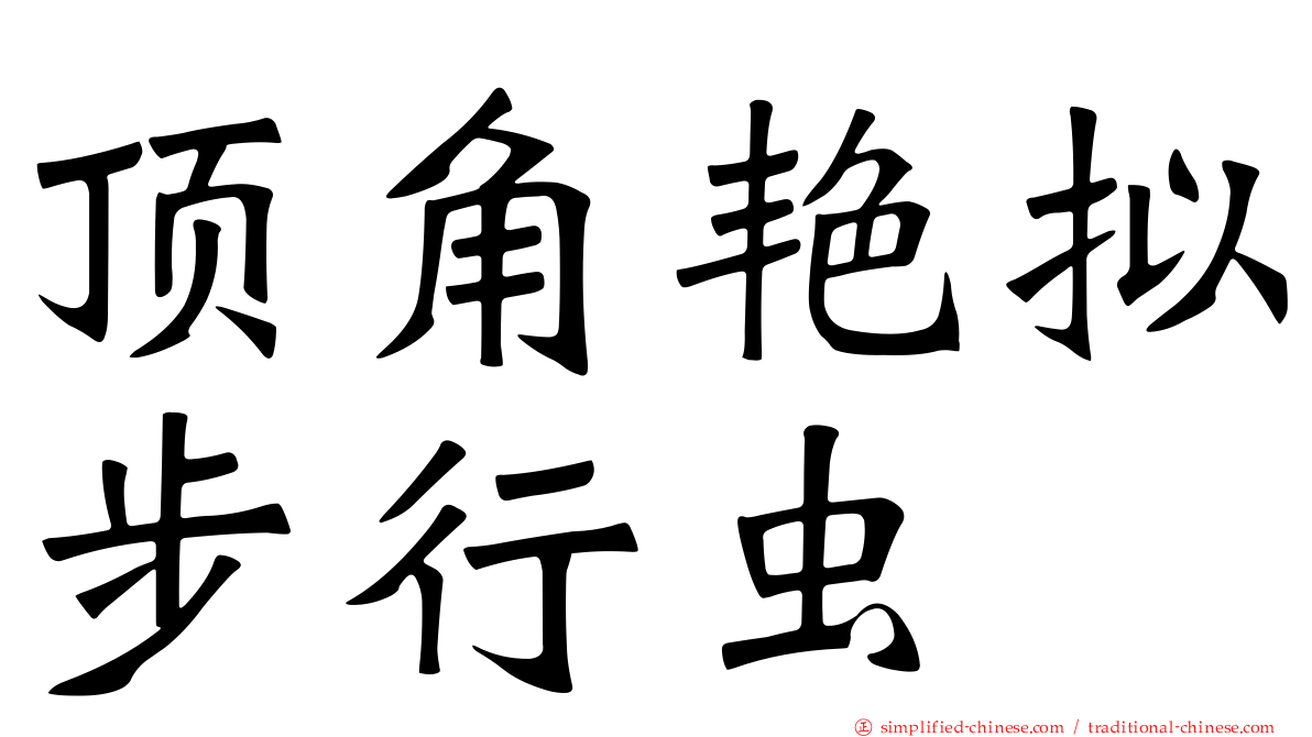 顶角艳拟步行虫