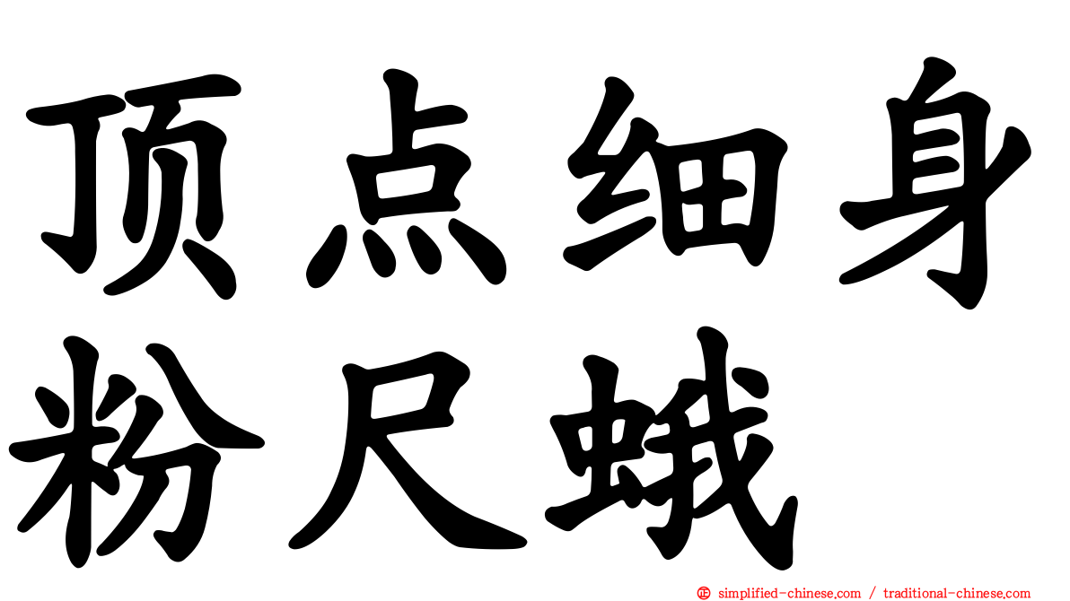顶点细身粉尺蛾