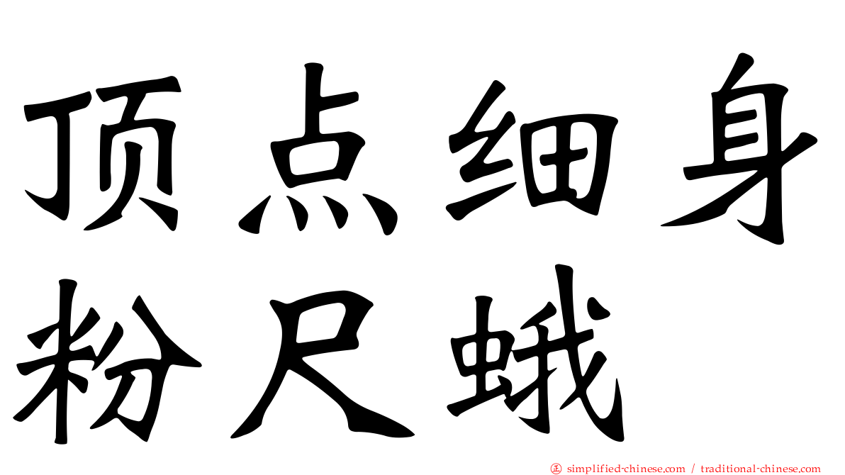 顶点细身粉尺蛾