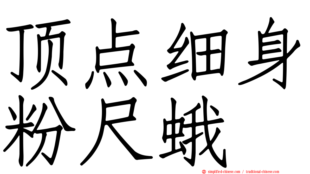 顶点细身粉尺蛾