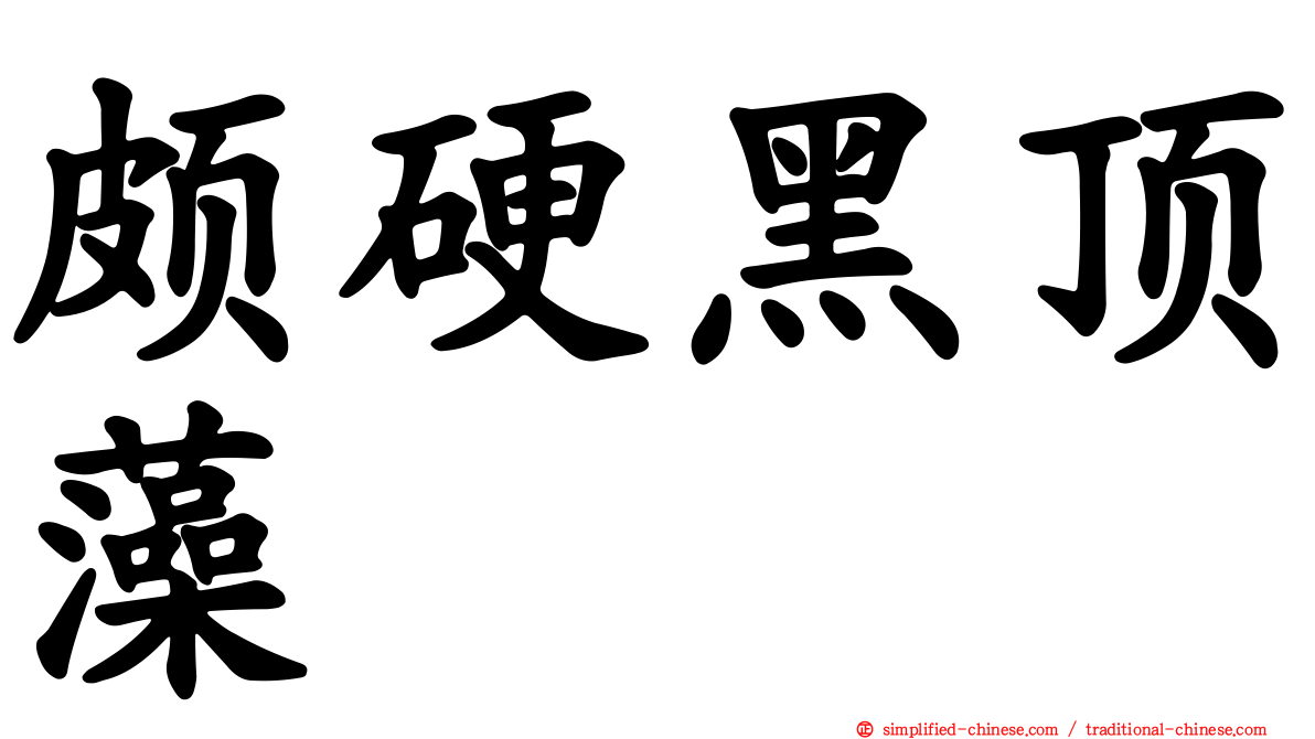 颇硬黑顶藻