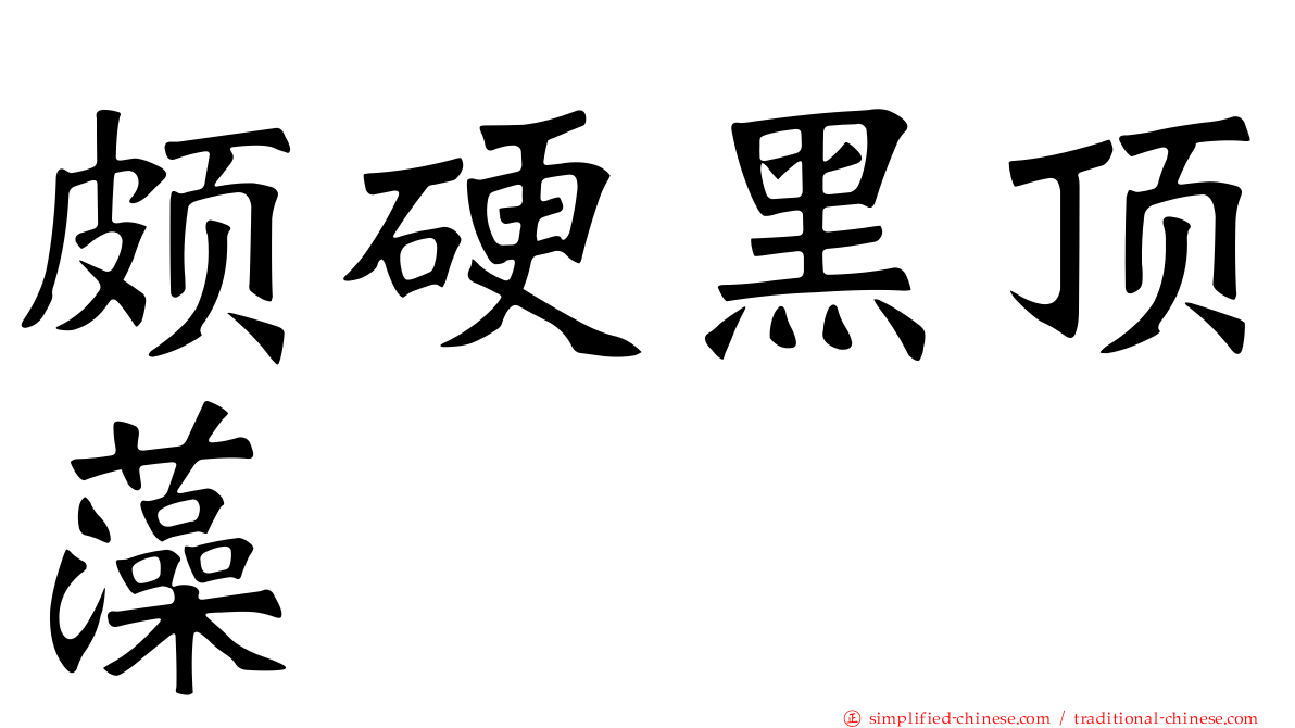 颇硬黑顶藻