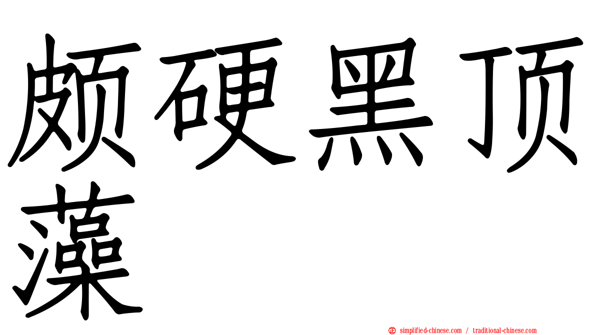 颇硬黑顶藻