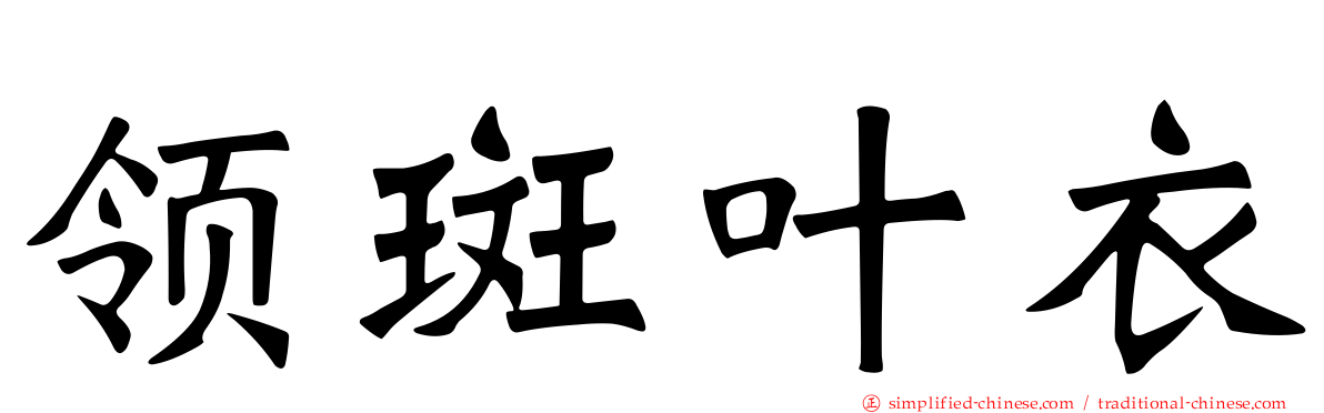 领斑叶衣