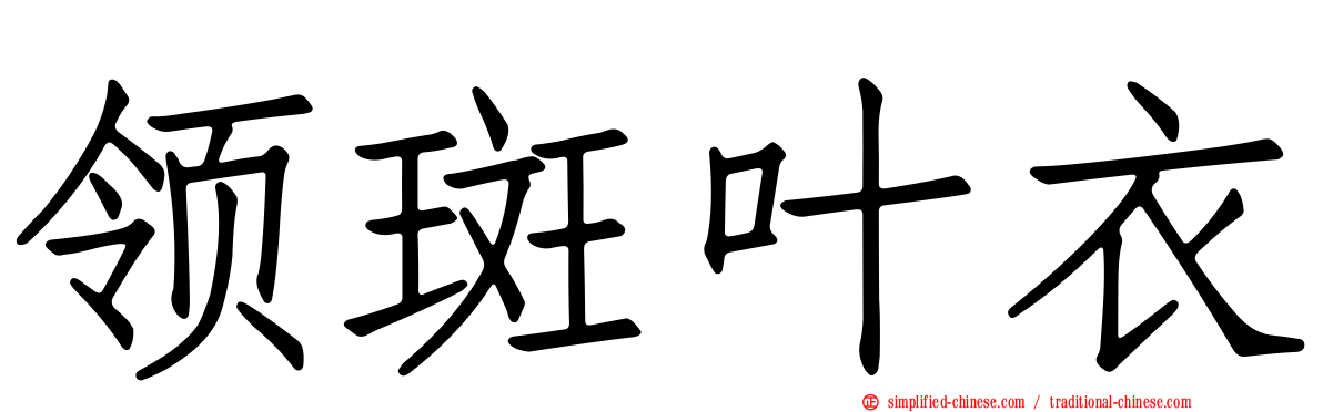 领斑叶衣