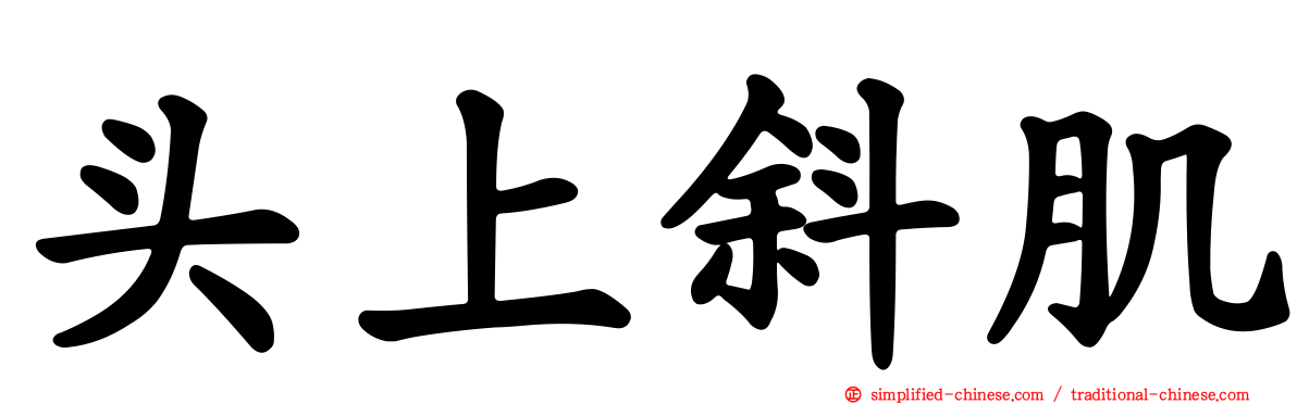 头上斜肌