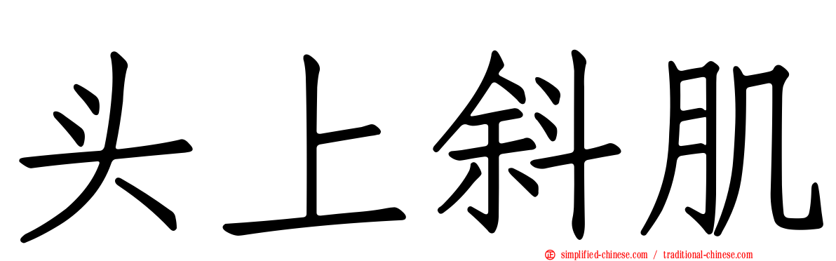 头上斜肌