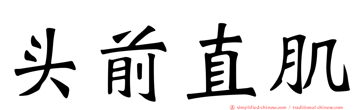 头前直肌