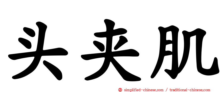 头夹肌