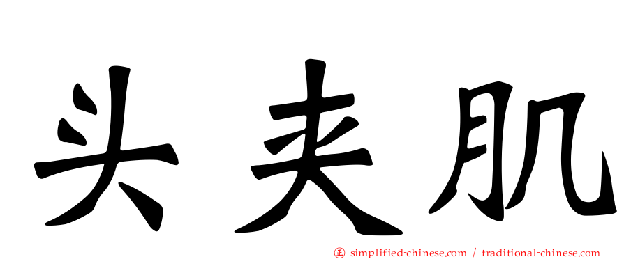 头夹肌