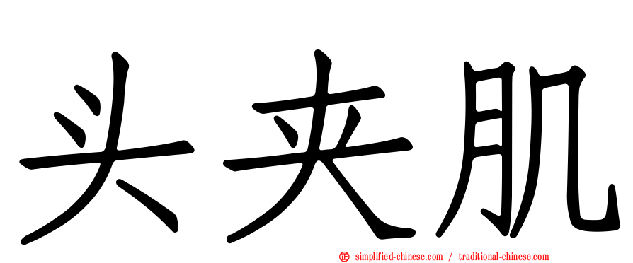 头夹肌