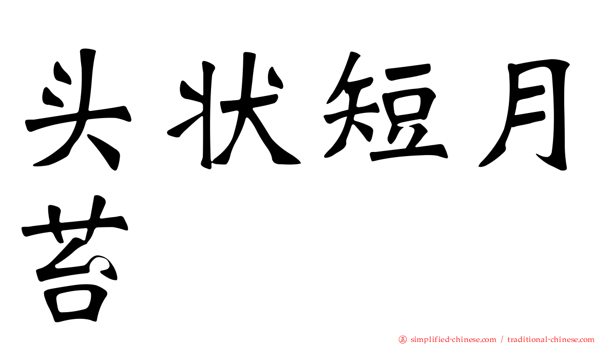 头状短月苔