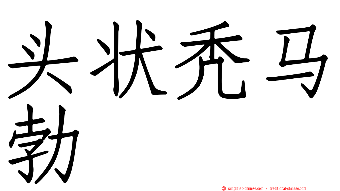 头状秃马勃