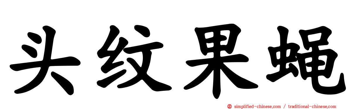 头纹果蝇