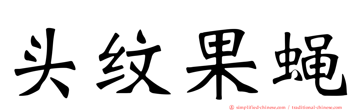 头纹果蝇