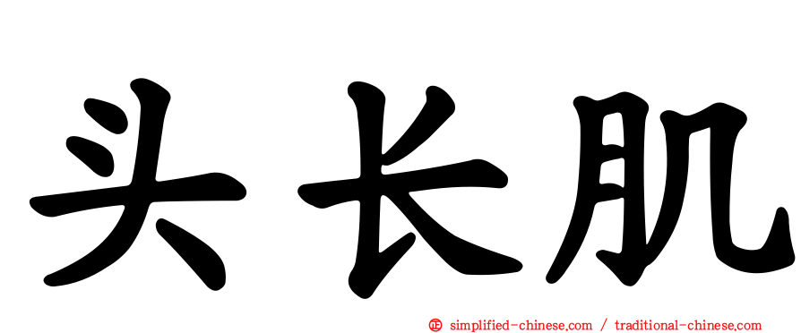 头长肌