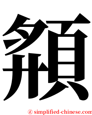 頯 serif font