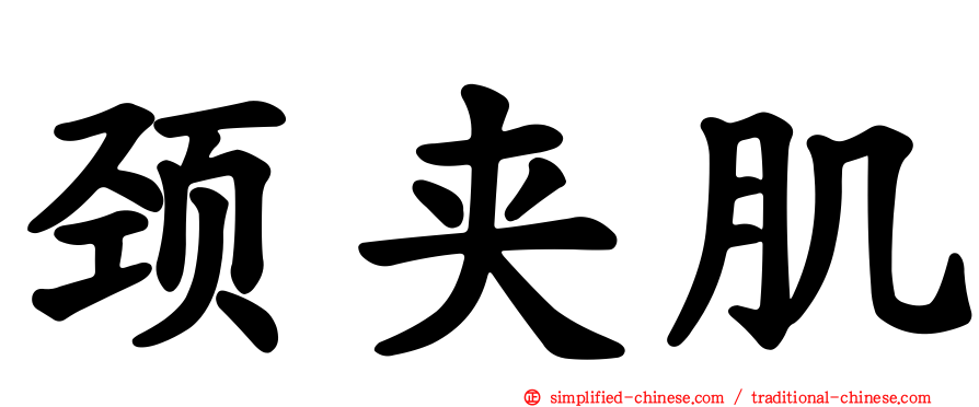 颈夹肌