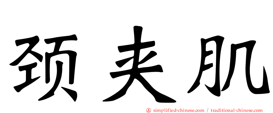 颈夹肌