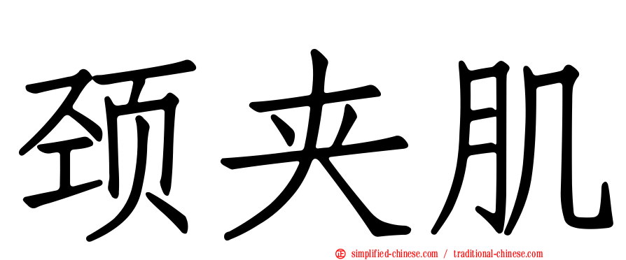 颈夹肌