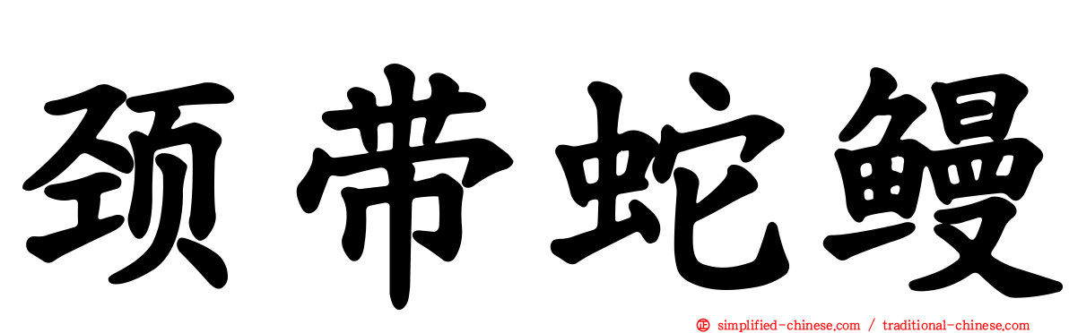 颈带蛇鳗