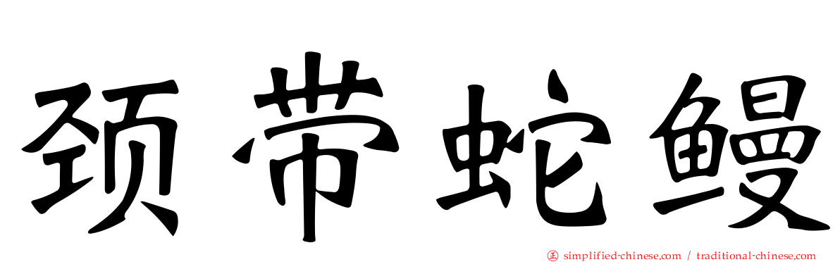 颈带蛇鳗