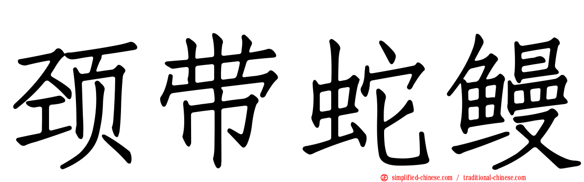 颈带蛇鳗