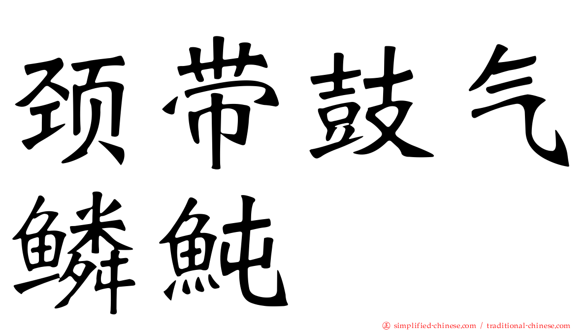 颈带鼓气鳞鲀