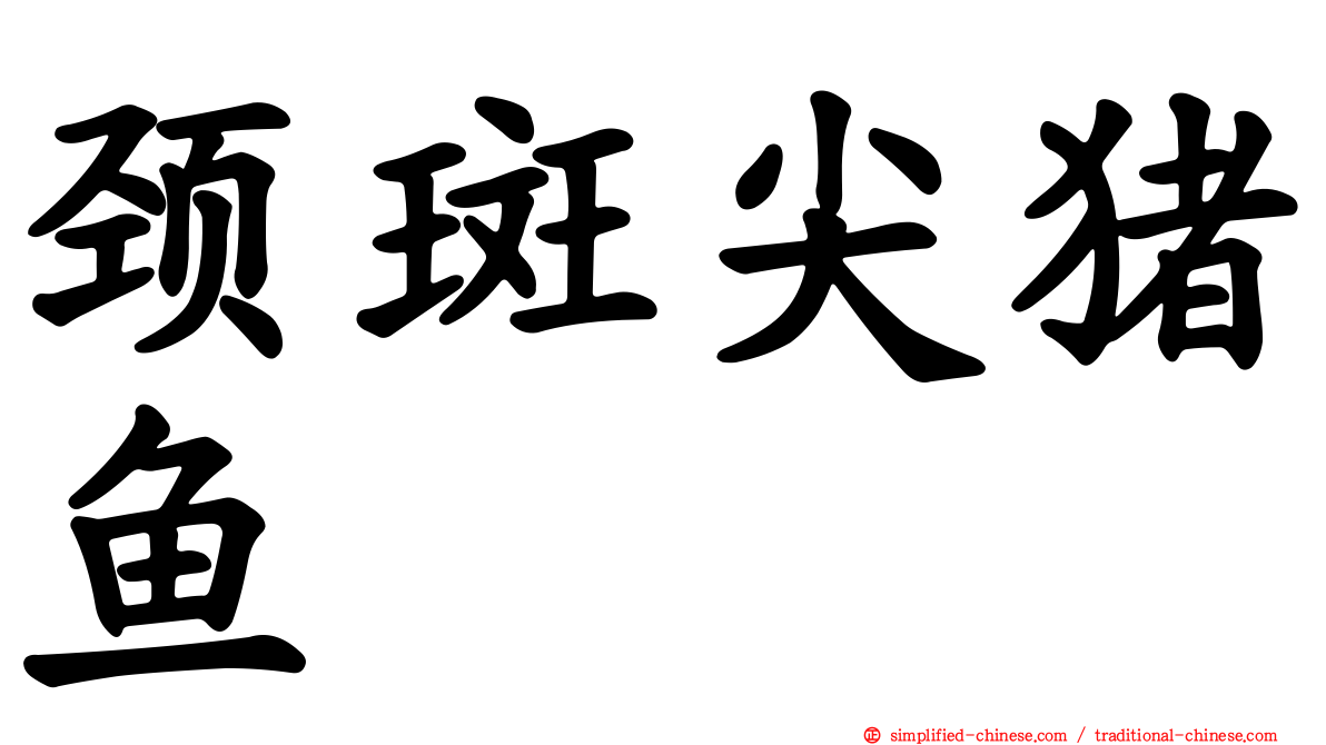 颈斑尖猪鱼