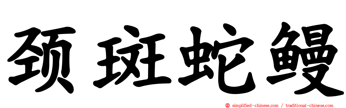 颈斑蛇鳗