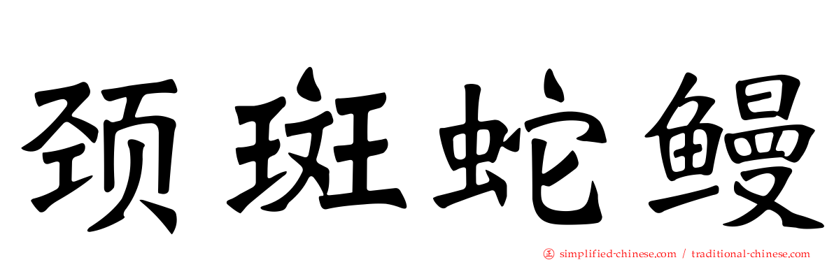 颈斑蛇鳗