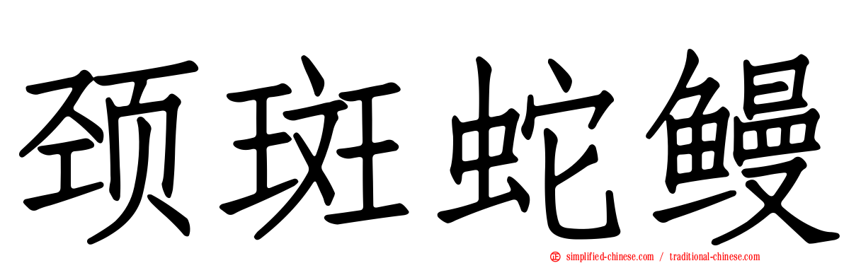 颈斑蛇鳗